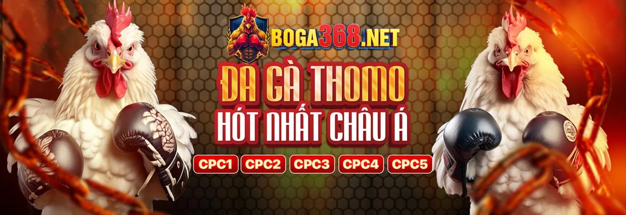 Tổng quan ngành cá cược trực tuyến
