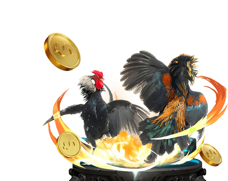 Hoàn trả hàng ngày choangclub 2022